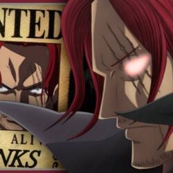 Top 10 Highest Bounty in One Piece 2020