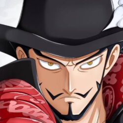 strongest swordsman in one piece