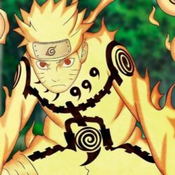 nine tails chakra mode