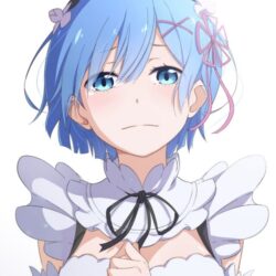 cropped-Re-Zero-Rem.Sony-Xperia-Z-wallpaper-1080x1920-1.jpg