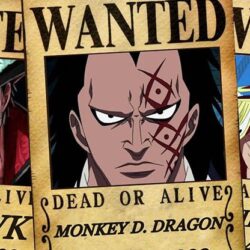 The Genius of One Piece Bounties