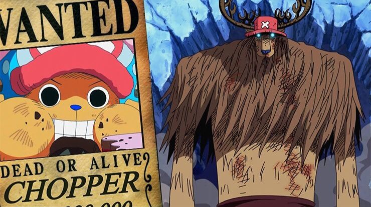 Who Has The Highest Bounty In One Piece?