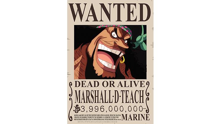 highest bounties in one piece