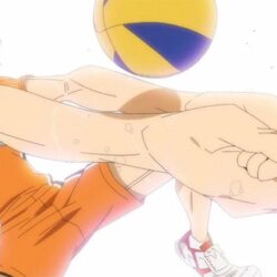 volleyball anime