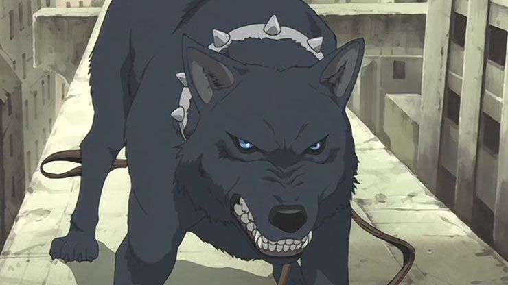 anime dog