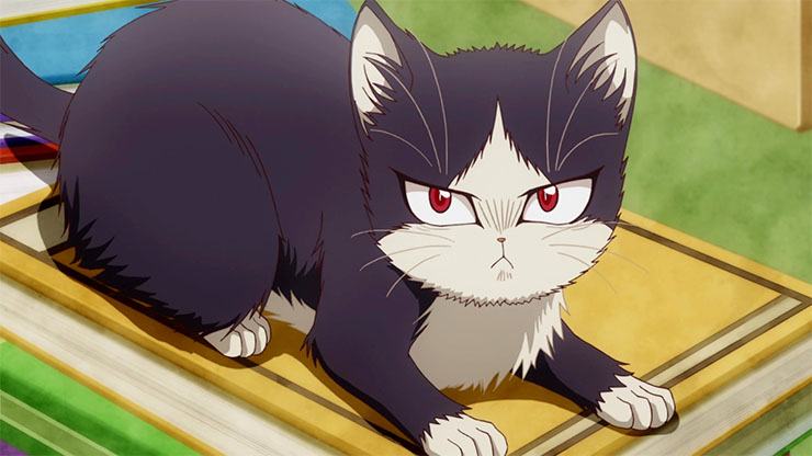 25 Best Cats In Anime The Ultimate Feline List  FandomSpot