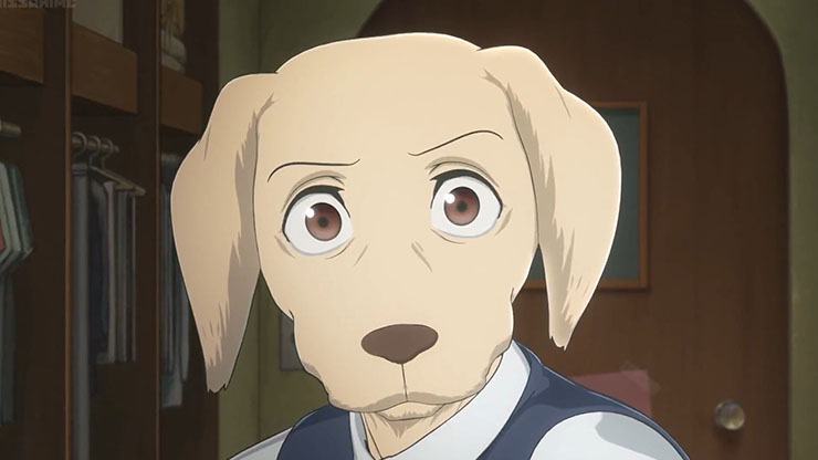 anime dog