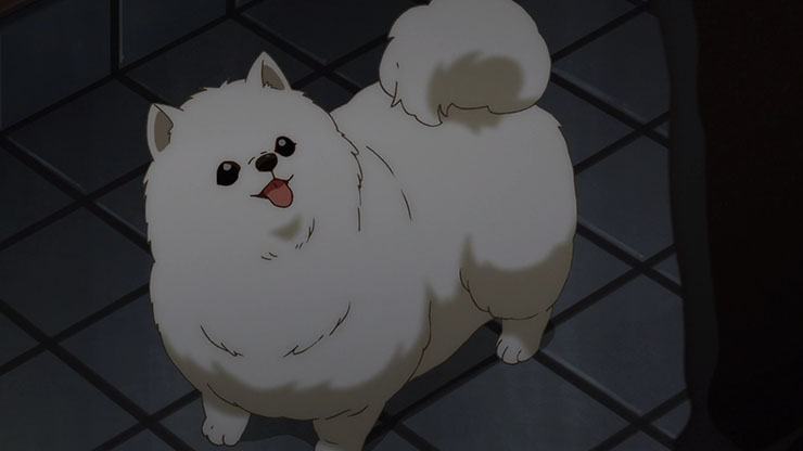 anime dog