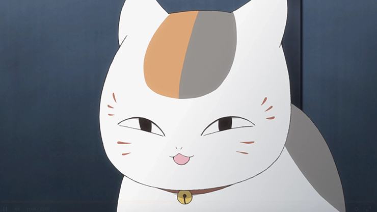 anime cat