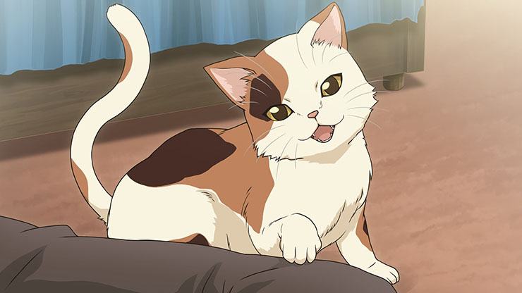 anime cat