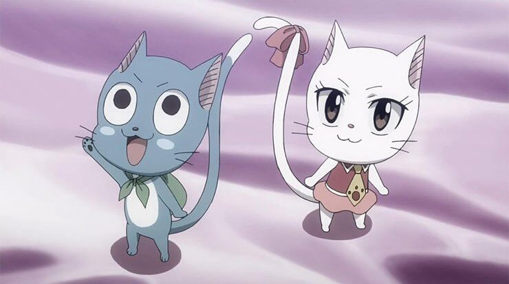 Miyo's Cat | Anime-Planet