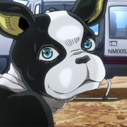 anime dog