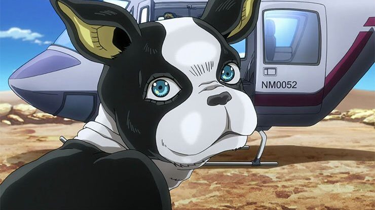 25 Best Anime Dogs Mans Best Friend in Anime Shows  Movies  FandomSpot